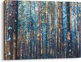 Kép - téli erdő (70x50 cm)