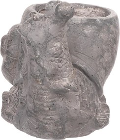 Bagoly virágtartó, magnézium, kő hatás