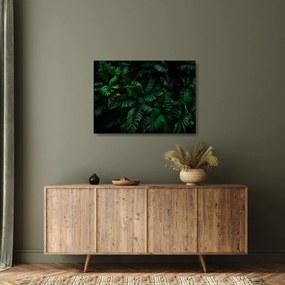 Kép - trópusi páfrány (üvegen) (70x50 cm)