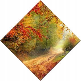 Vászonkép 56x56 Út az erdőben ősz