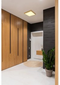 Globo 12382-22 - LED Mennyezeti lámpa TIBEY LED/22W/230V 35x35 cm