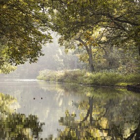 Poszter 40x40cm Basingstoke csatorna 3, Assaf Frank