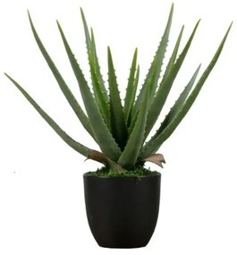 Aloe vera műnövény 46cm
