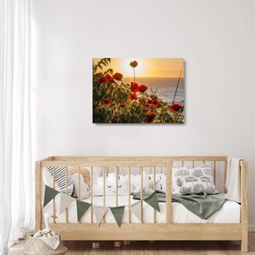 Naplemente és a pipacsok képe (üvegen) (70x50 cm)