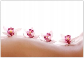 Fotótapéták 152x104 Pihenés a SPA-ban Orchideák