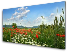 Modern üvegkép Mezei virágok természet Plant 125x50 cm