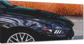 Képek 180x90 Ford Mustang Usa autó