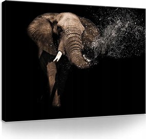 Falikép Elefánt vászonkép 100x75