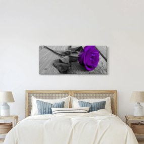 Kép - Lila rózsa zöld szárral (120x50 cm)