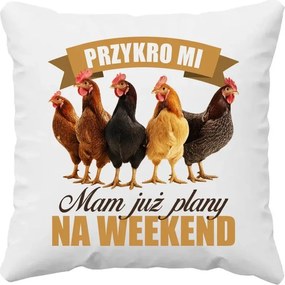 Ajándék párna Sajnálom, már vannak terveim a hétvégére tyúkok
