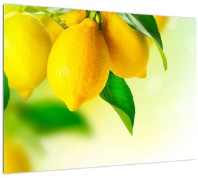 A citrom képe (üvegen) (70x50 cm)
