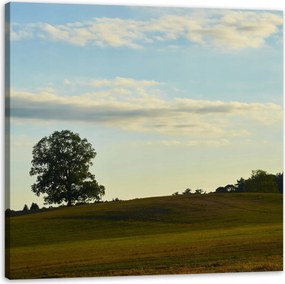 Vászonkép Természet Magányos fa naplementekor 40x40 cm