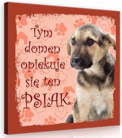 Vászonkép 40x40 Dombok dűnék ég felhők naplemente természet nyugalom meleg