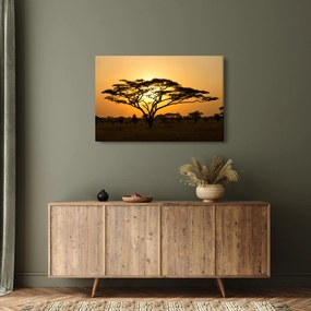 Kép - afrikai szavanna (90x60 cm)