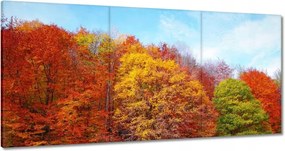 Festmények 120x60 Őszi táj