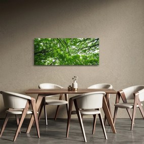 Kép - Kilátás a fák tetejére (120x50 cm)