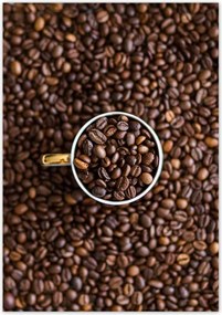 Poszterek 70x100 Kávébab