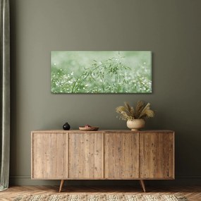 Kép - Harmat a fűben (120x50 cm)