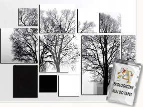 Fotótapéta Fák 3D Absztrakt Erdő Szürke Falra Hálószoba Nappali 250x175