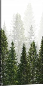 Vászonkép Esőerdő Természet Fák 60x120 cm