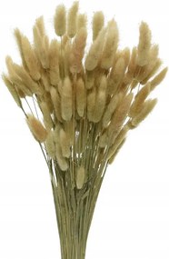 Szárított díszfű natúr színben 80 cm hosszú