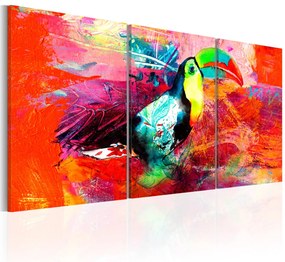 Kép - Colourful Toucan