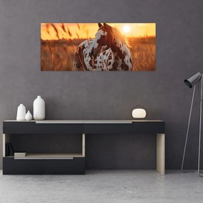 Kép - Ló naplementében (120x50 cm)
