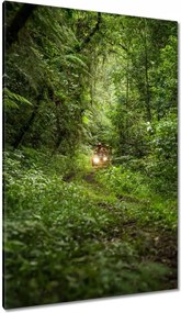 Vászonkép 80x120 Quad Négy kerék Terep