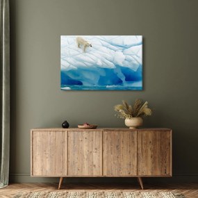 Kép - Jegesmedve (90x60 cm)