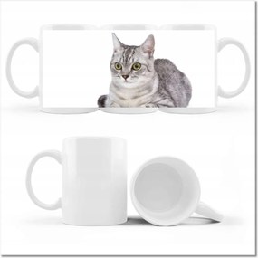 Nyomott mintás bögre Cica Cicák Macskák