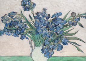 Kép - Vincent van Gogh, Irises, reprodukciók (70x50 cm)