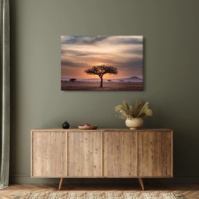 Naplemente képe Tanzániában (90x60 cm)