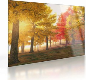 Őszi fák képe (üvegen) (70x50 cm)