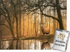 Fotótapéta Flizelina Természet Kilátás Erdő Fák Szarvas Víz Ősz 250x175 ragasztó