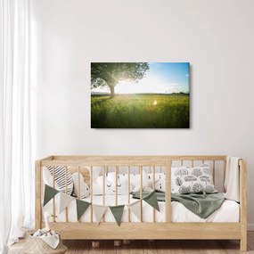 Egy fa képe a mezőn (90x60 cm)