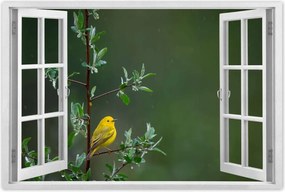 Poszterek 90x60 Madarak