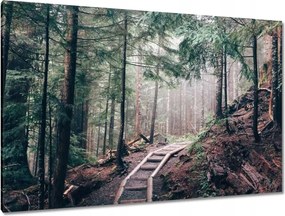 Festmények 120x80 Erdei ösvény