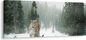 Leopárd a hóban képe (120x50 cm)