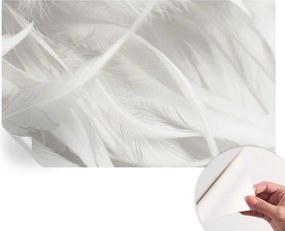 Modern öntapadós fotótapéta Mosható Finom tollak 416x254 cm