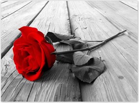 Poszterek 135x100 Vörös rózsa a fán