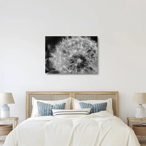 Kép - pitypang pehely (üvegen) (70x50 cm)