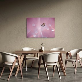 Üveg kép - Pillangó (70x50 cm)