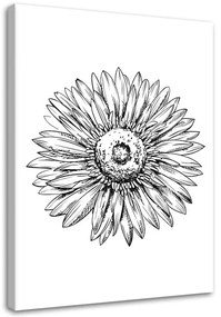 Gario Vászonkép Virágvázlat Méret: 40 x 60 cm