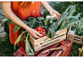 Equal kőrisfa kerti szerszámkészlet - Esschert Design