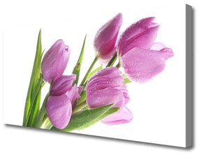 Canvas kép Tulipán virágok Plant 125x50 cm