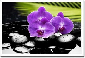 Poszter keretben 60x40 Lila orchideák