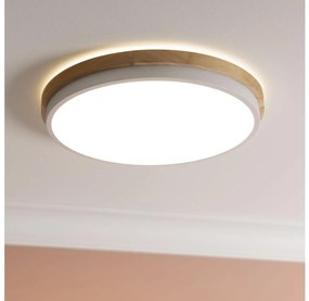 Brilliant - LED Dimmelhető mennyezeti lámpa BAARLO LED/24W/230V átm. 35 cm fehér