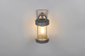 Fali kültéri lámpa (magasság 33 cm) Sambesi – Trio