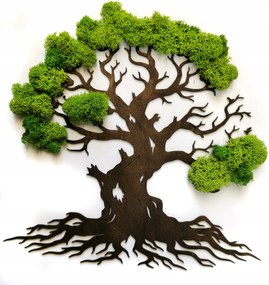 Vászonkép Mohafa 40cm/40cm bonsai Dekoráció Nappaliba