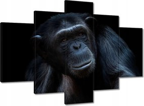 Festmények 150x105 Egy erős csimpánz portréja
